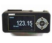 Q̎HI 6300 (gu)Hardy